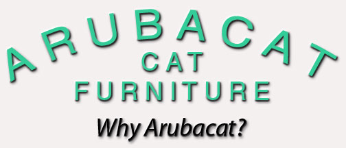 Why Arubacat?